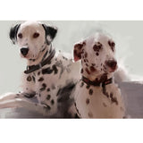 Dalmatian Dog Print