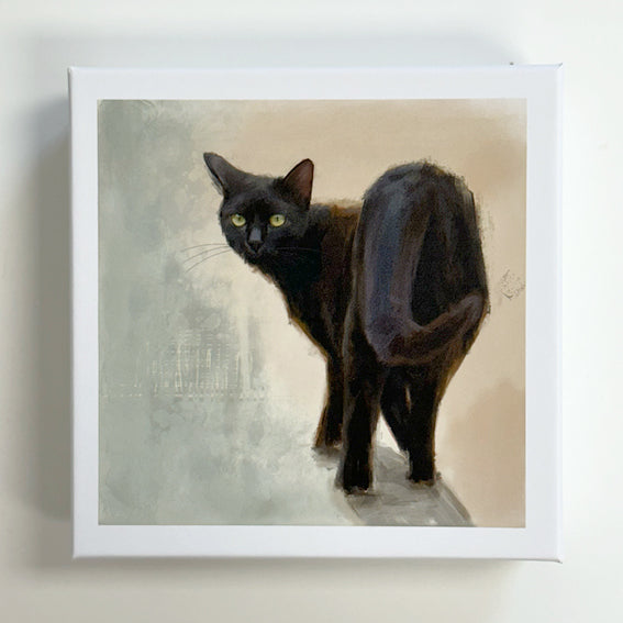 Black Cat Notelets