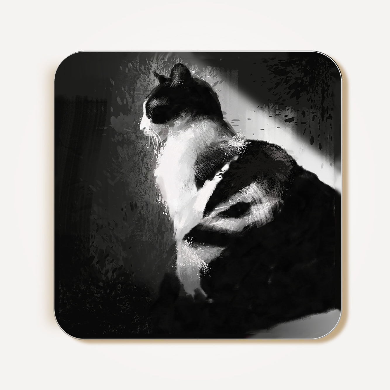 Set Of 4 Cat Coasters