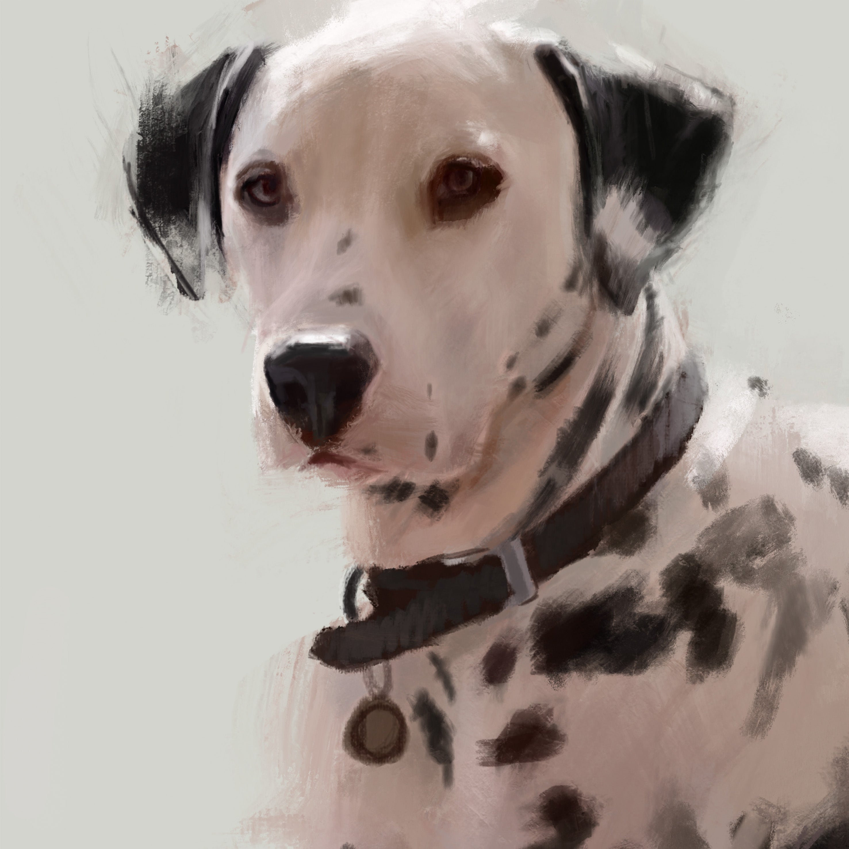 Dalmatian Dog Print