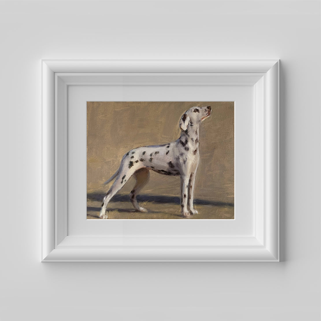 Dalmatian Original Oil Painting
