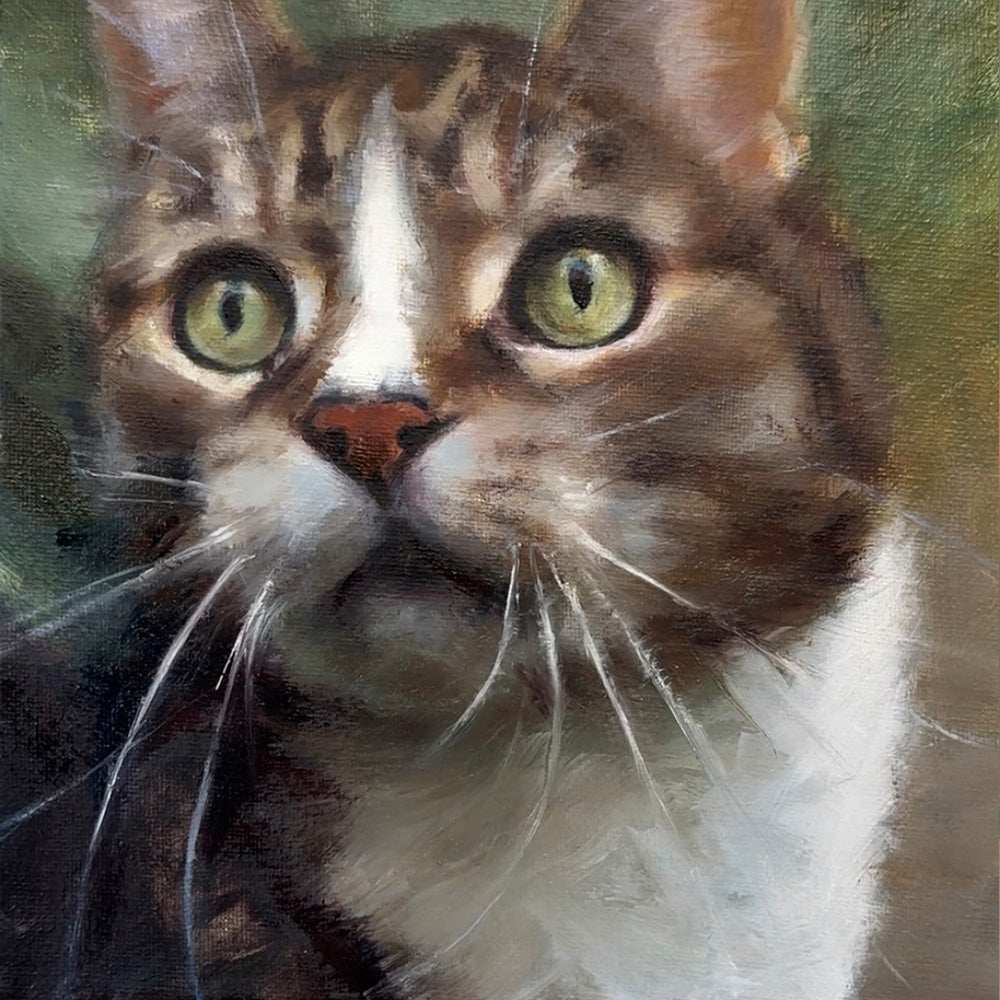 Tabby Cat Original Oil Painting