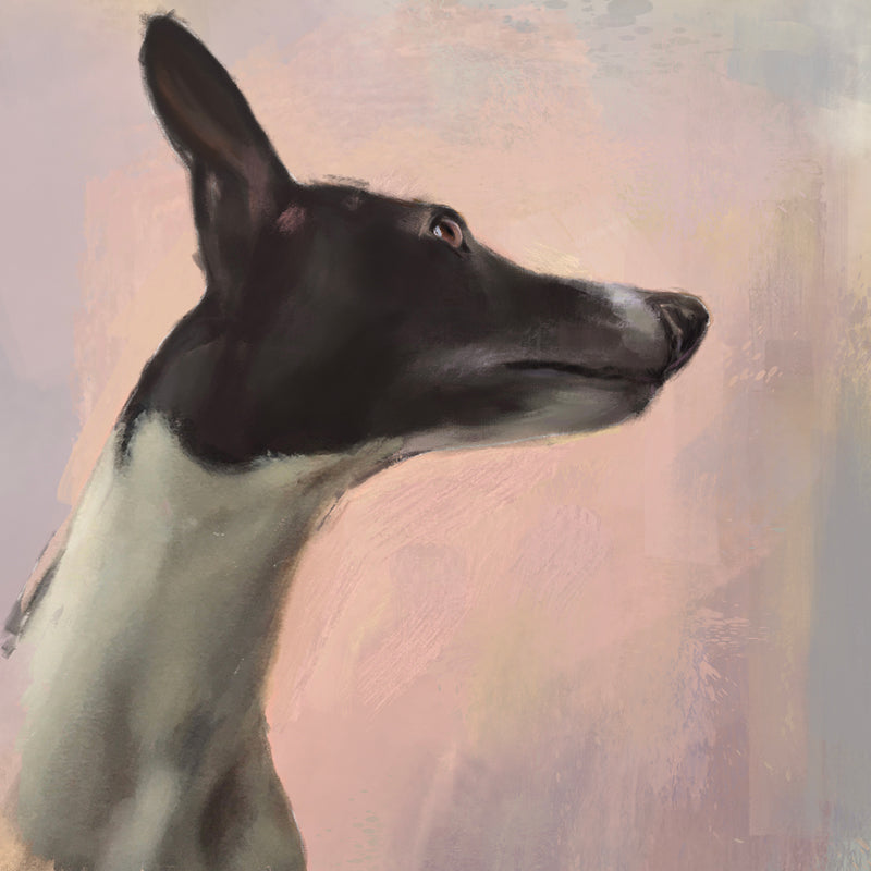 Galgo Dog Greeting Card