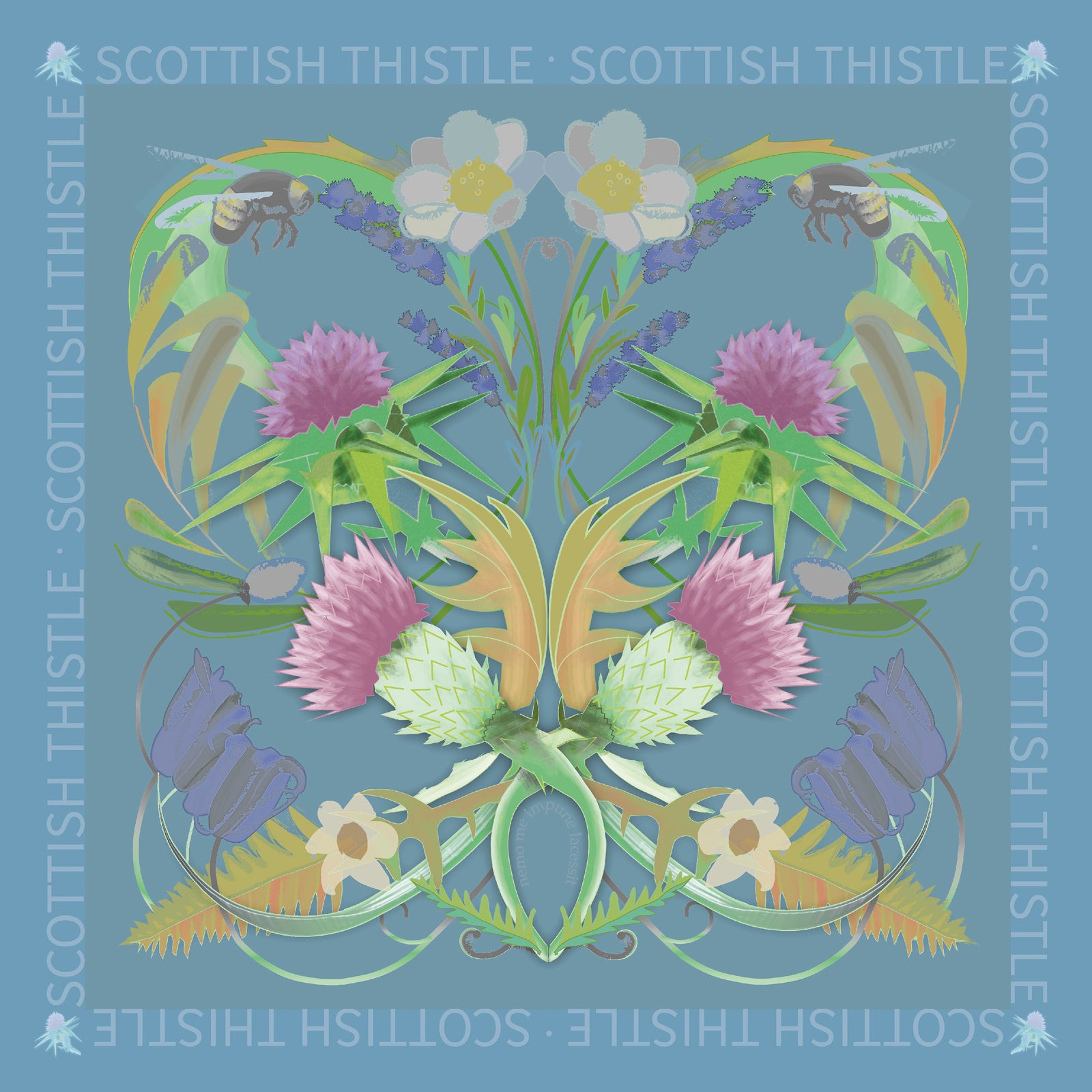 Scottish Thistle Print