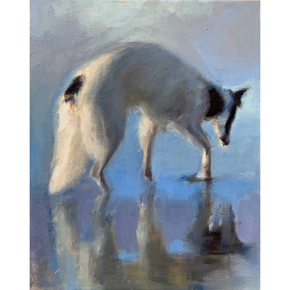 Sighthound Swimming Original Oil Painting