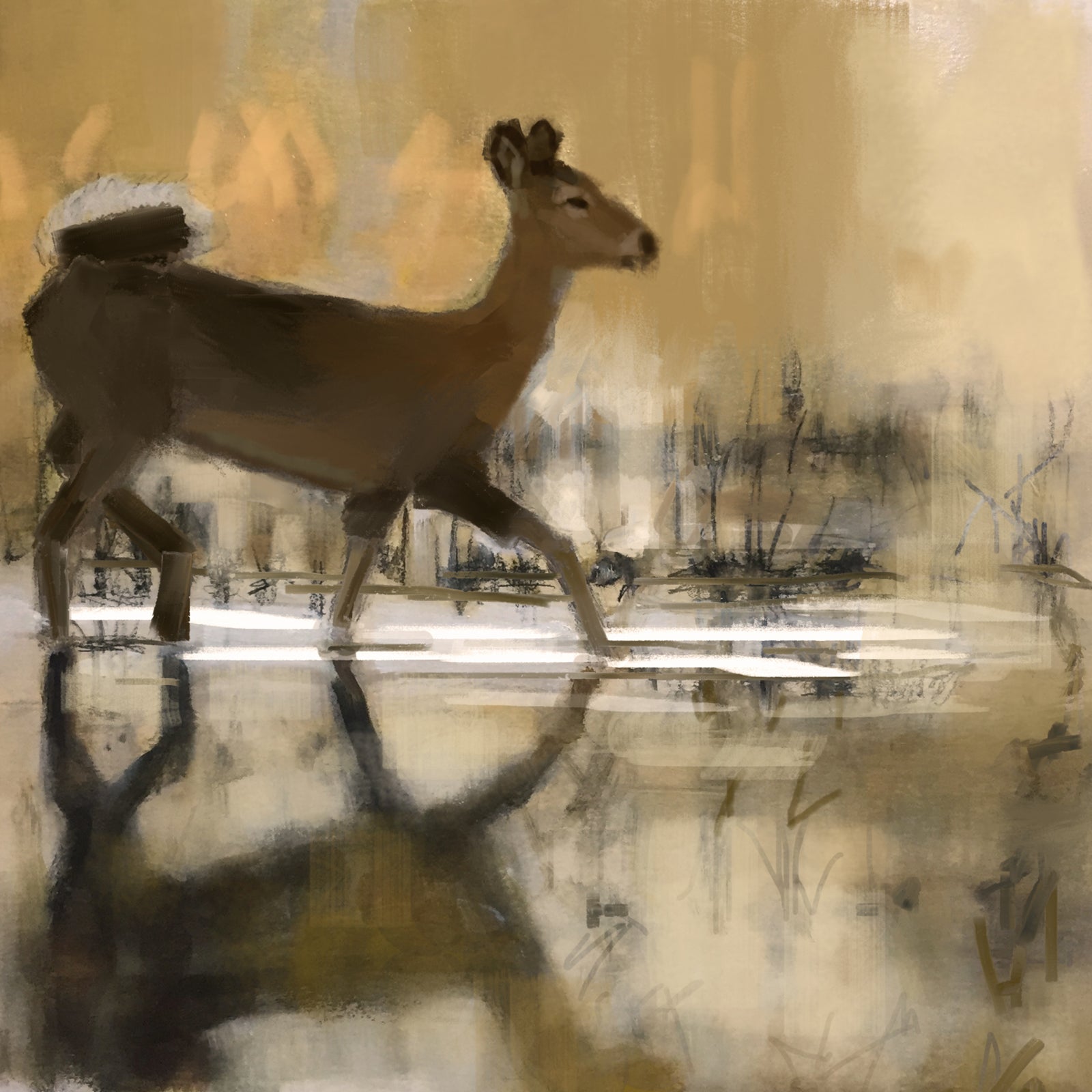 Deer Stag Greeting Card
