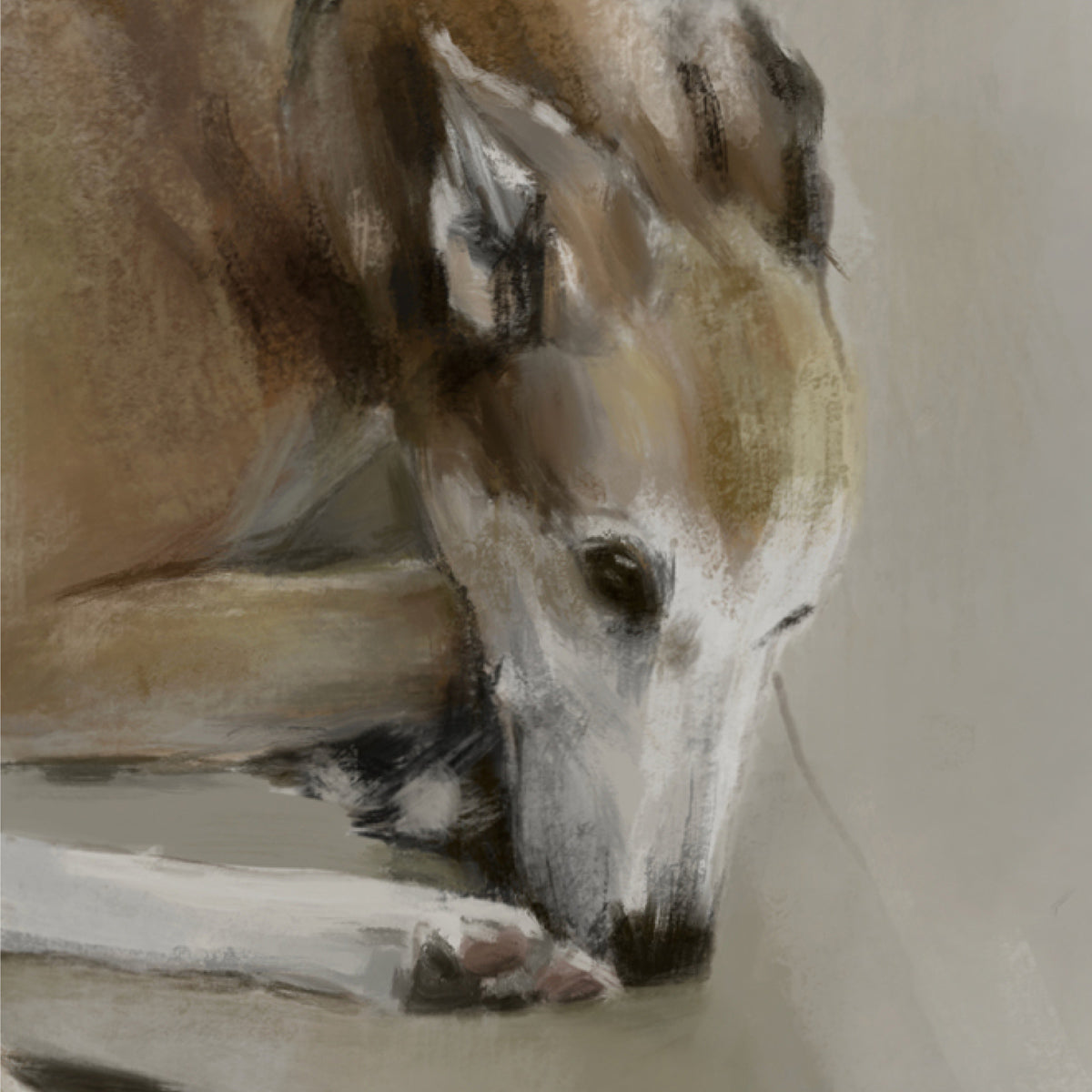 Dog Greeting Cards