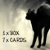 Black Cat Notelets