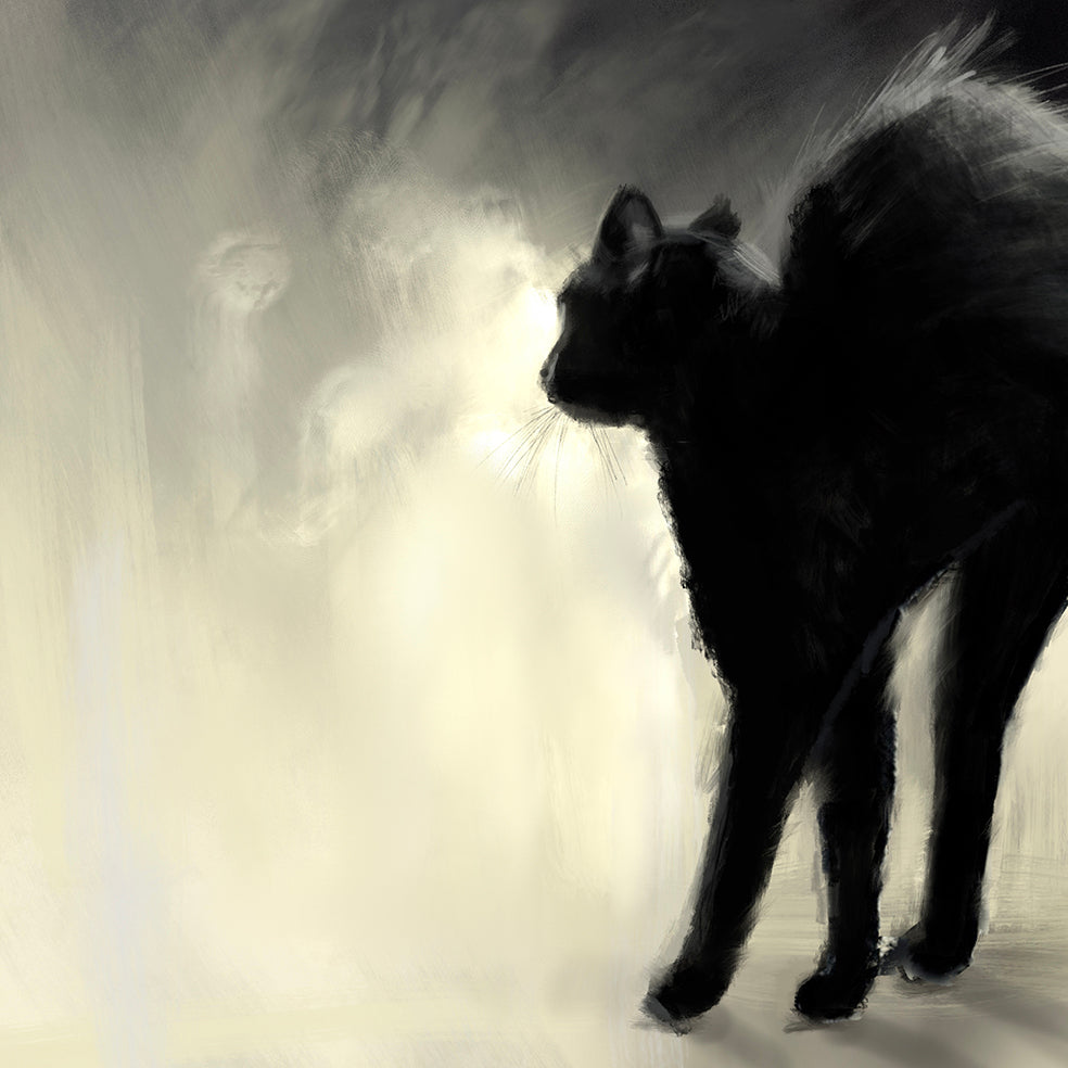Witches Black Cat Print