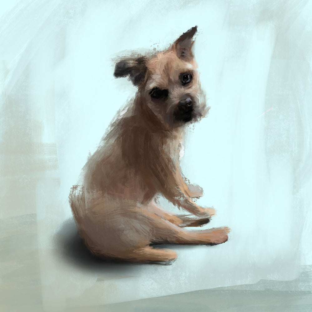 Border Terrier Greeting Card