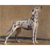 Dalmatian Original Oil Painting