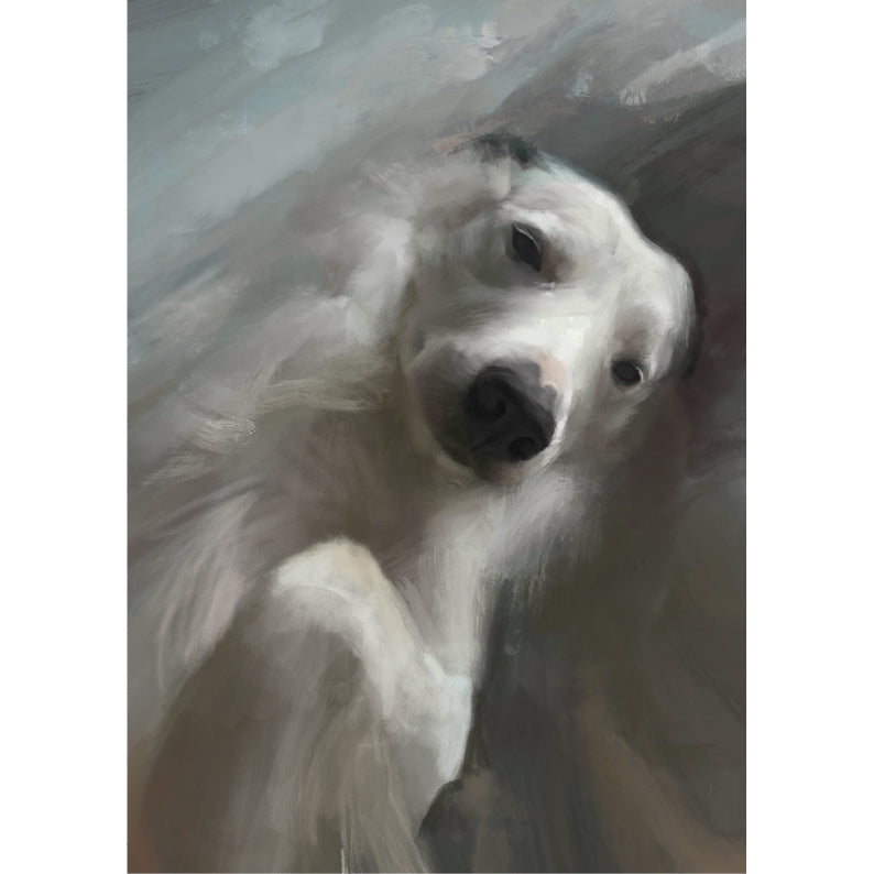 Study Of Northern Light Dog Greeting Card