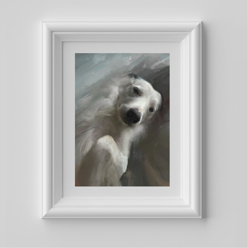 Northern Light Dog Print