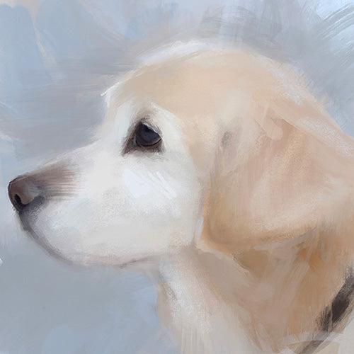 English Cream Golden Retriever Dog Print