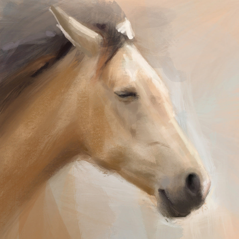 Catching The Rays Horse Print