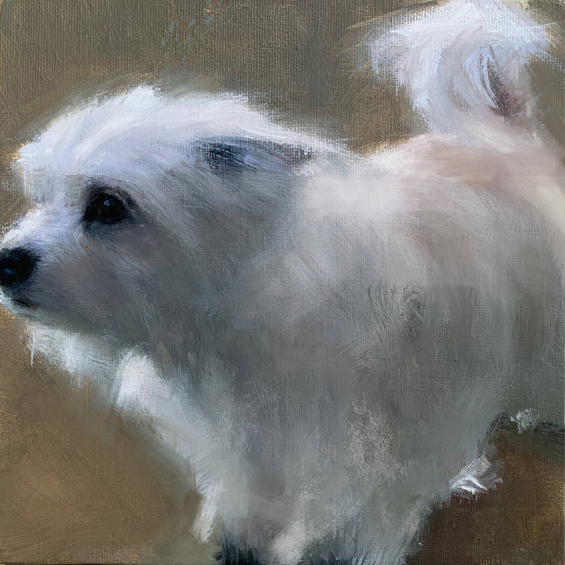 Little White Dog Original Oil Painting