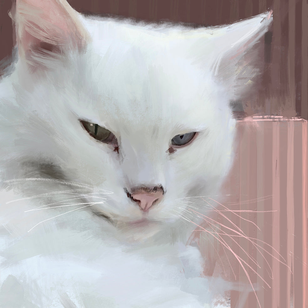 White As Pink Cat Greeting Card