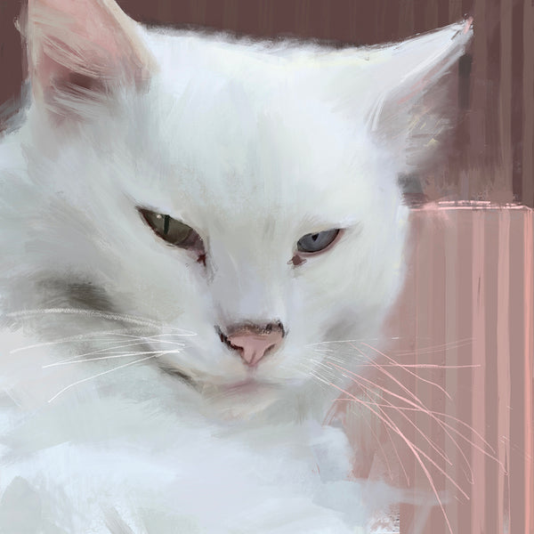 White As Pink Cat Greeting Card