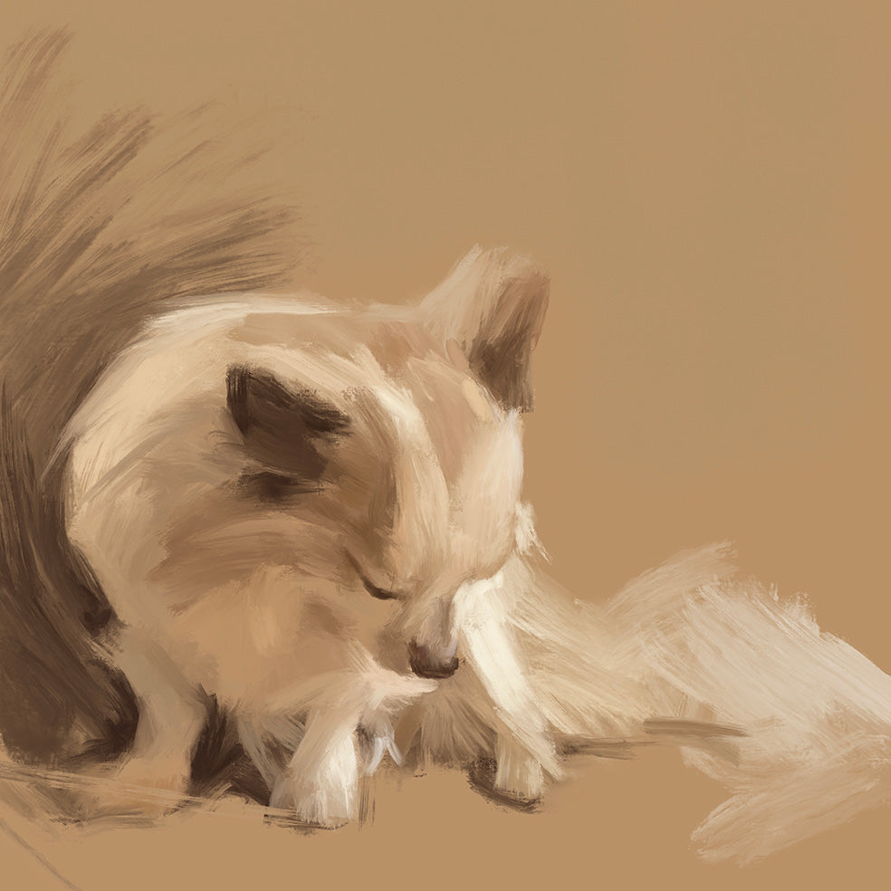 Chihuahua Dog Greeting Card