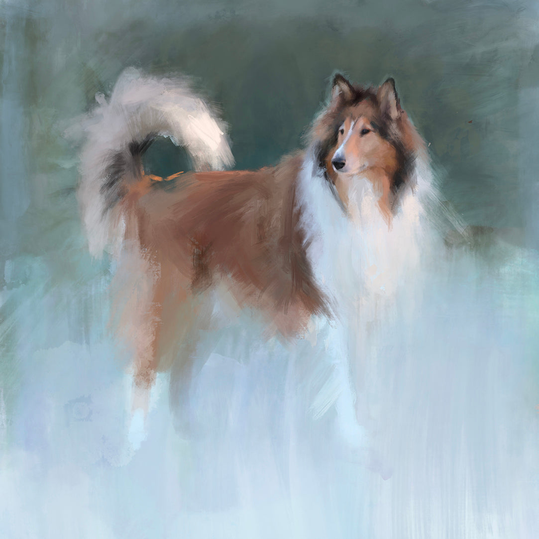 Rough Collie Greeting Card