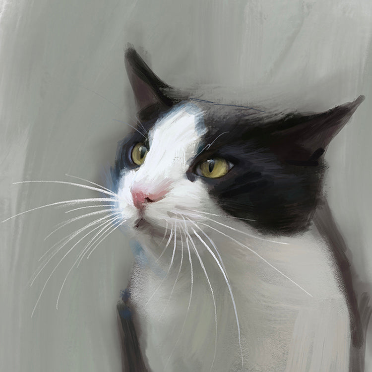 Whiskers Cat Greeting Card
