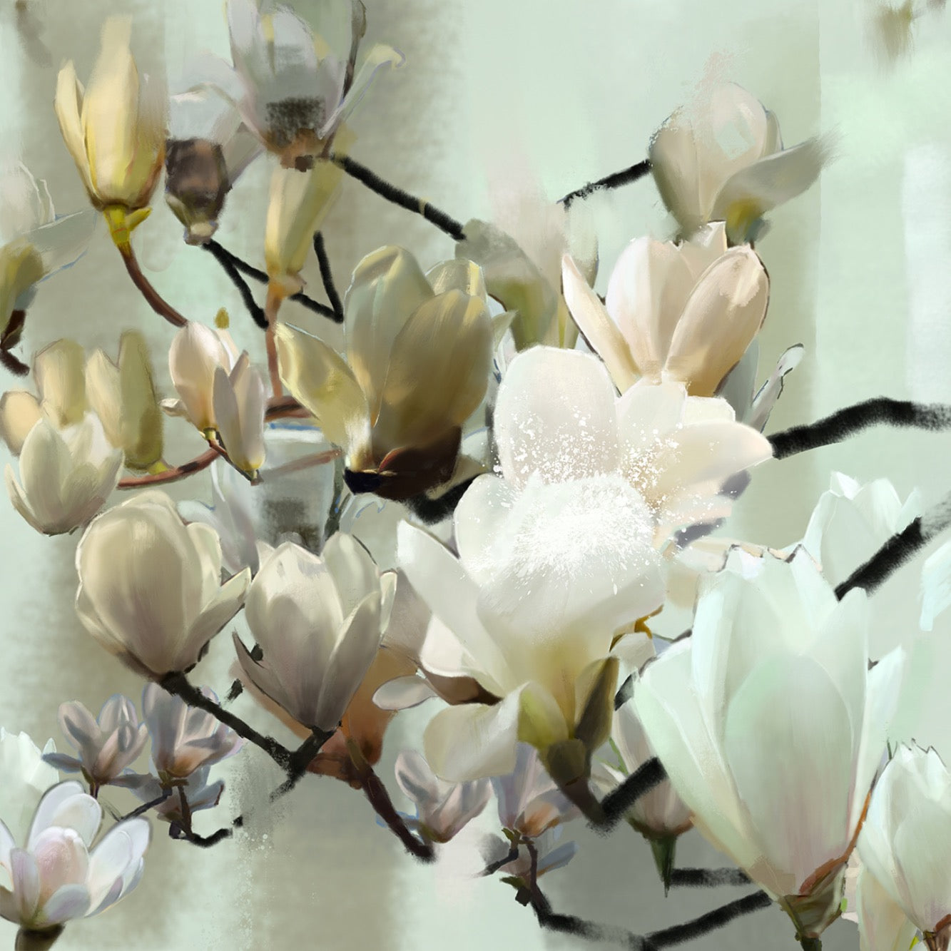 White Magnolia Print