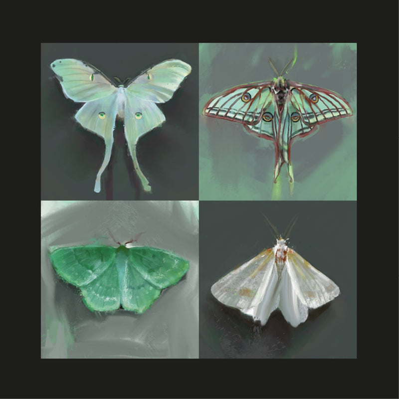 Green Moths Print
