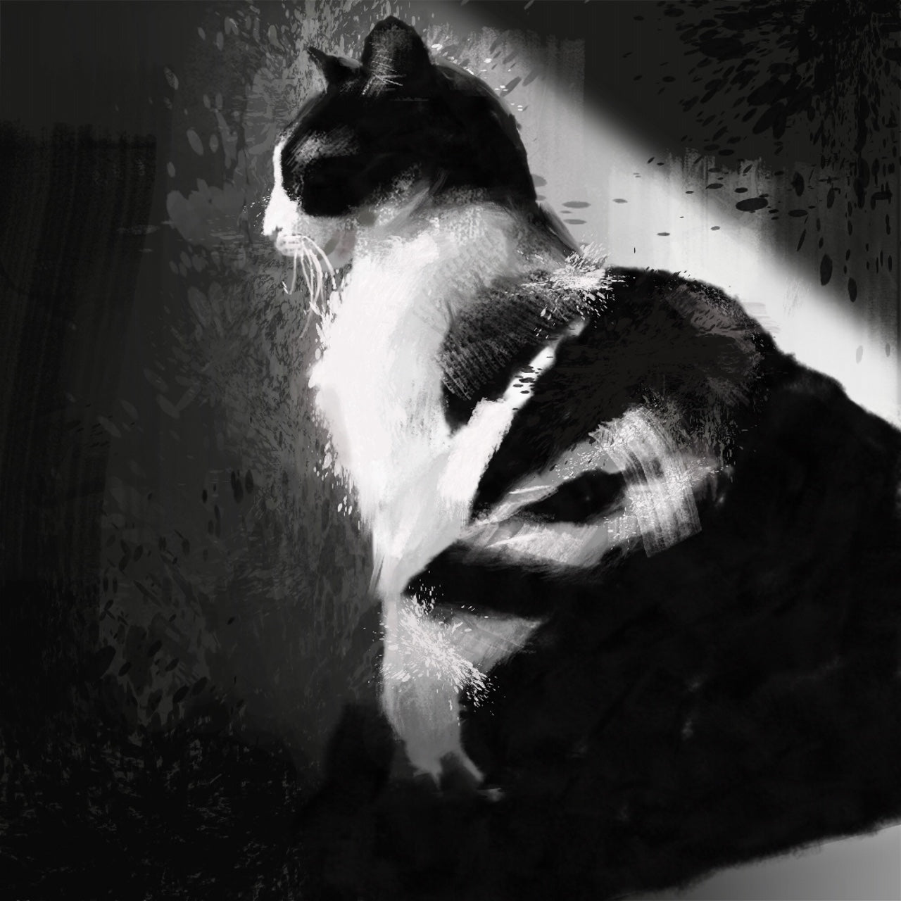 Black & White Cat Greeting Card