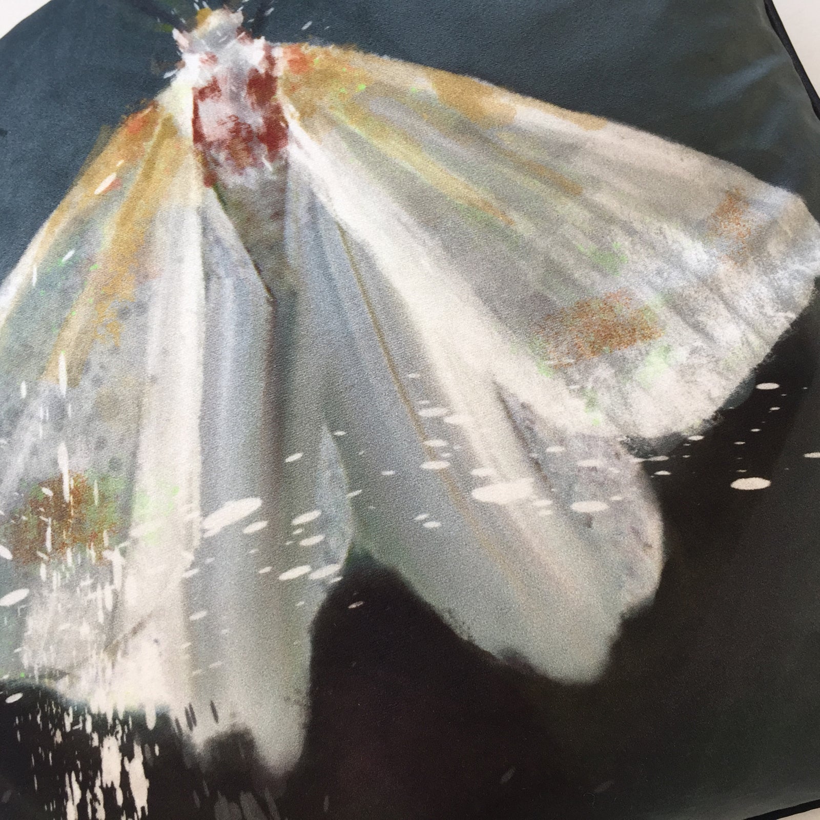 Belle Moth Cushion Cover