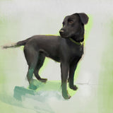 Black Labrador Dog Print