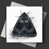 Black Moth Greeting Card