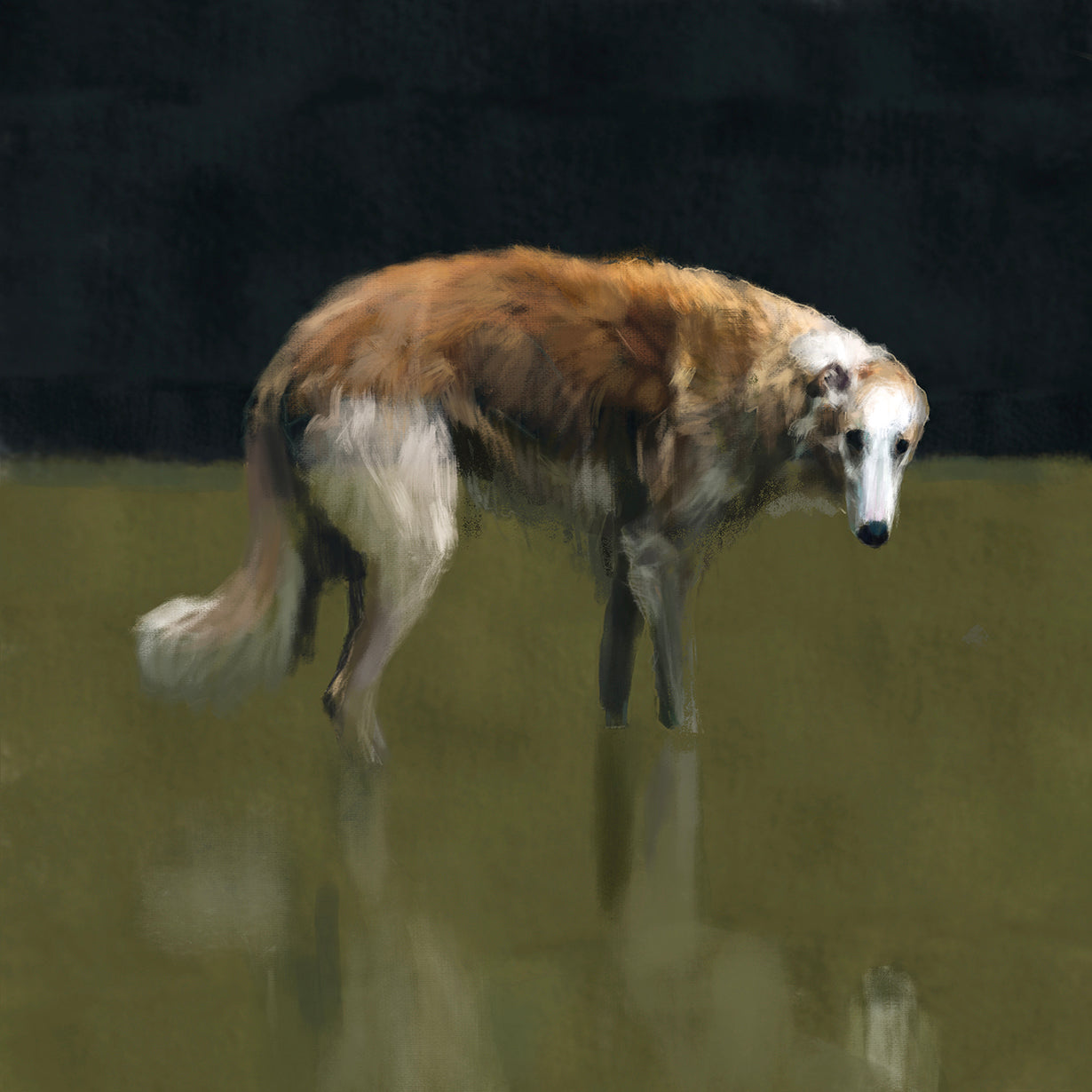 Borzoi Dog Greeting Card