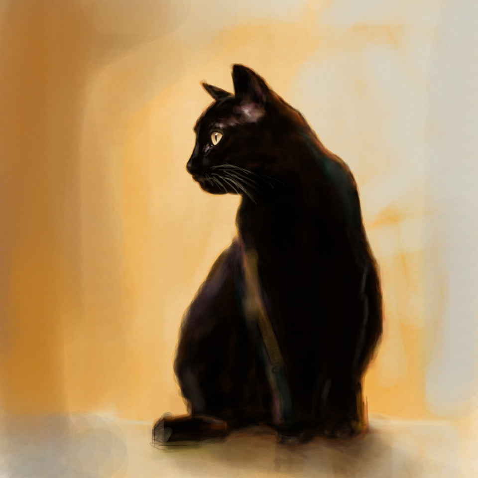 Black Cat Print