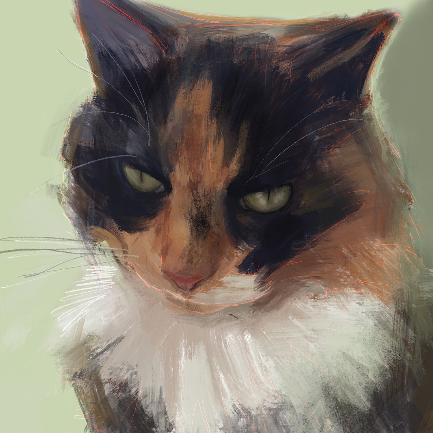 Tortoiseshell Calico Cat Print