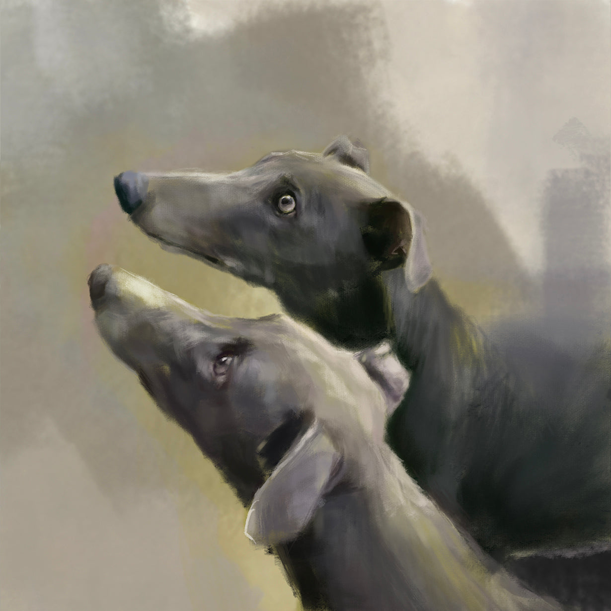 Greyhound Dog Greeting Card