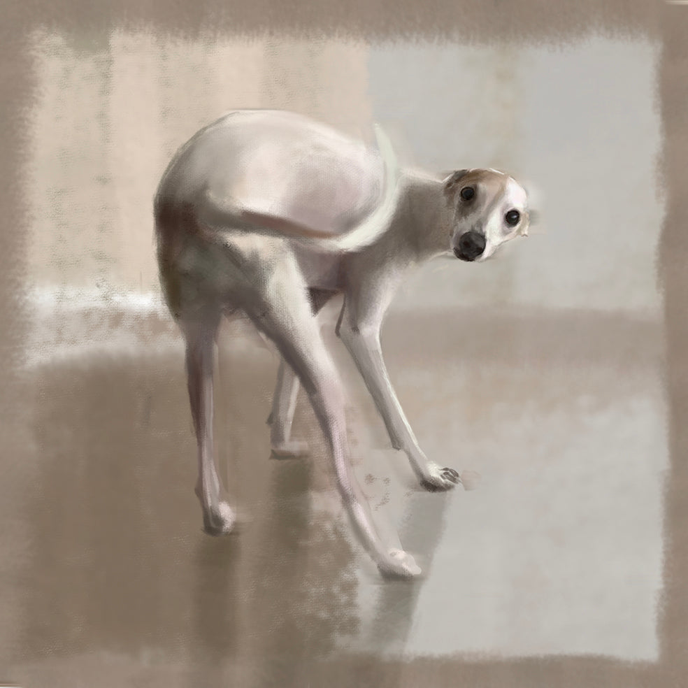Italian Greyhound Greeting Card