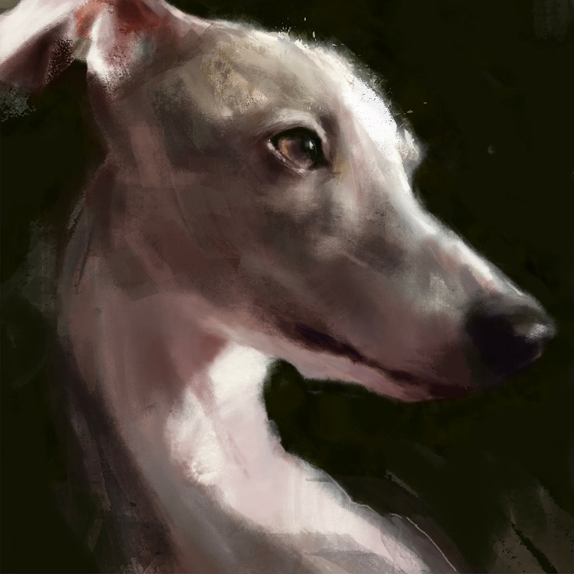 Whippet Greeting Card