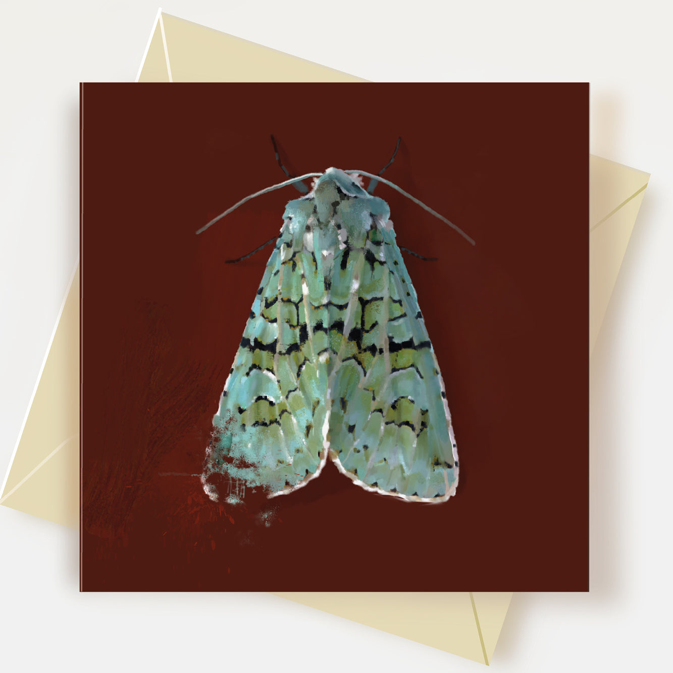 Moth Greeting Card