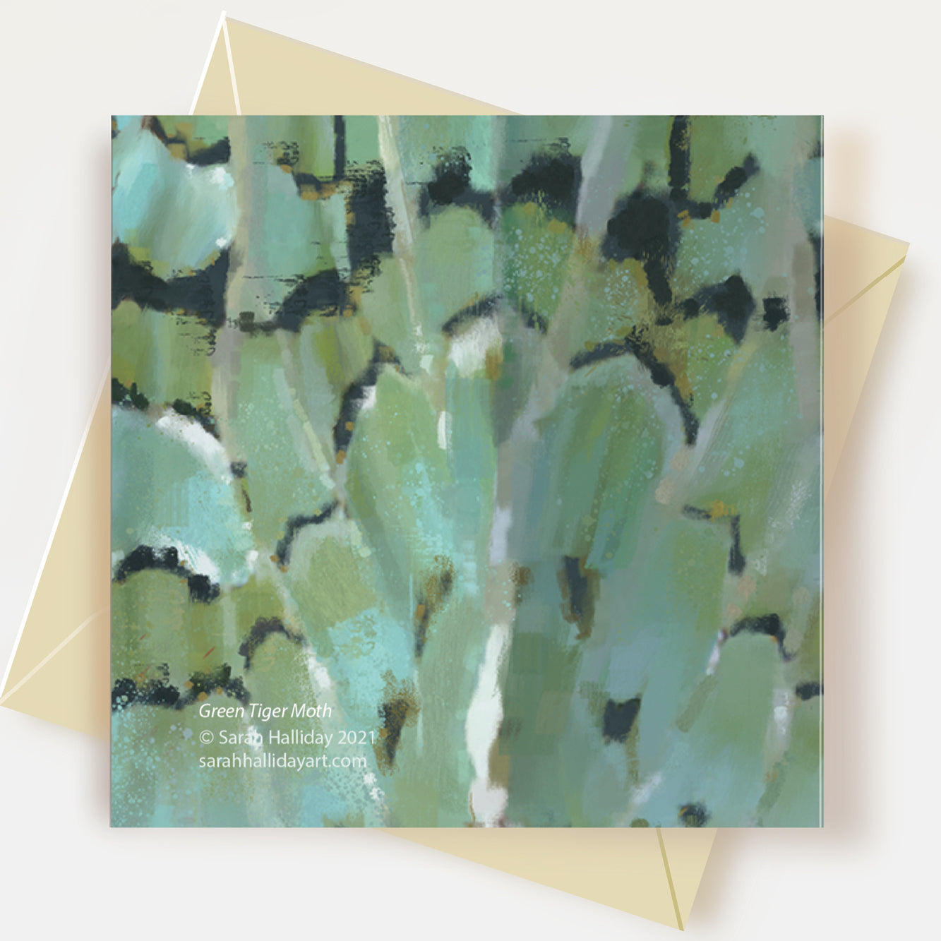 Moth Greeting Card