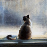 Morning Sun Cat Original Oil Painting