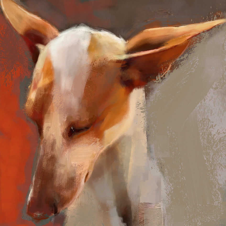 Podenco Dog Greeting Card