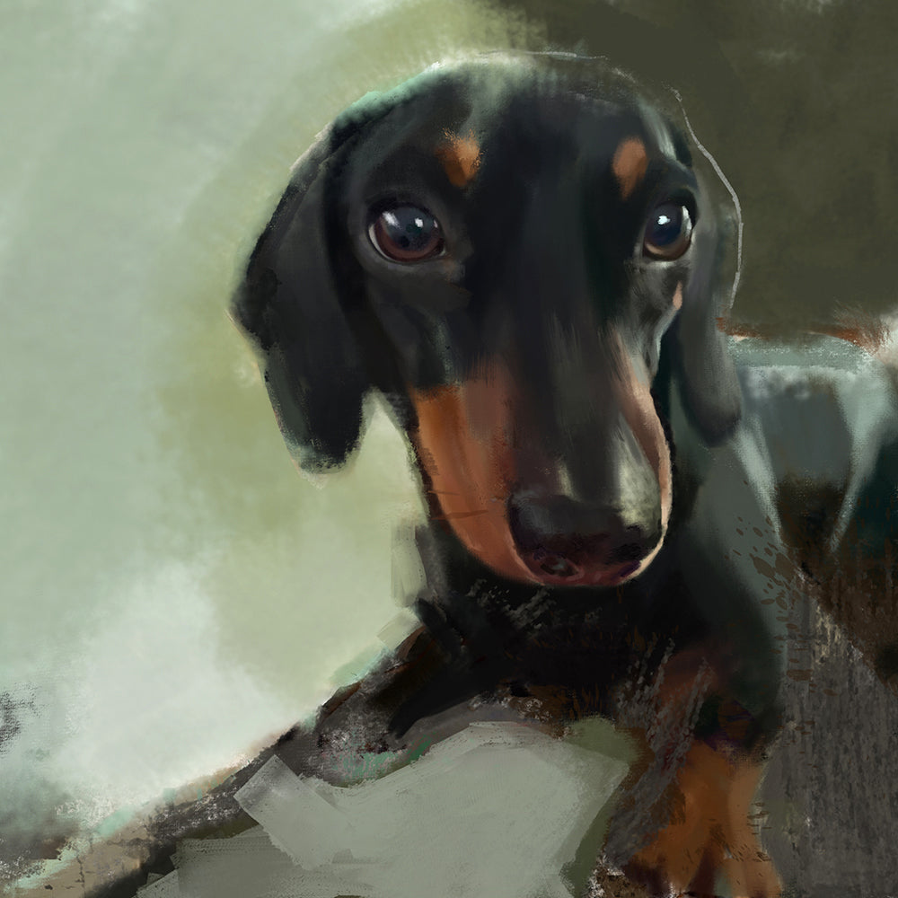 Miniature Dachshund Dog Greeting Card