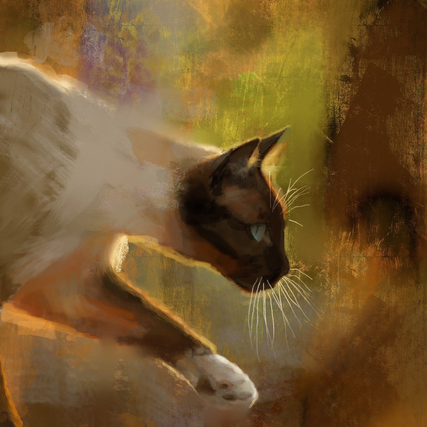 Siamese Cat Print