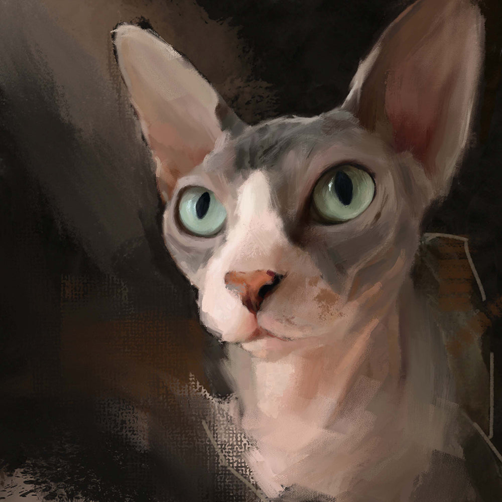 Sphynx Cat Greeting Card