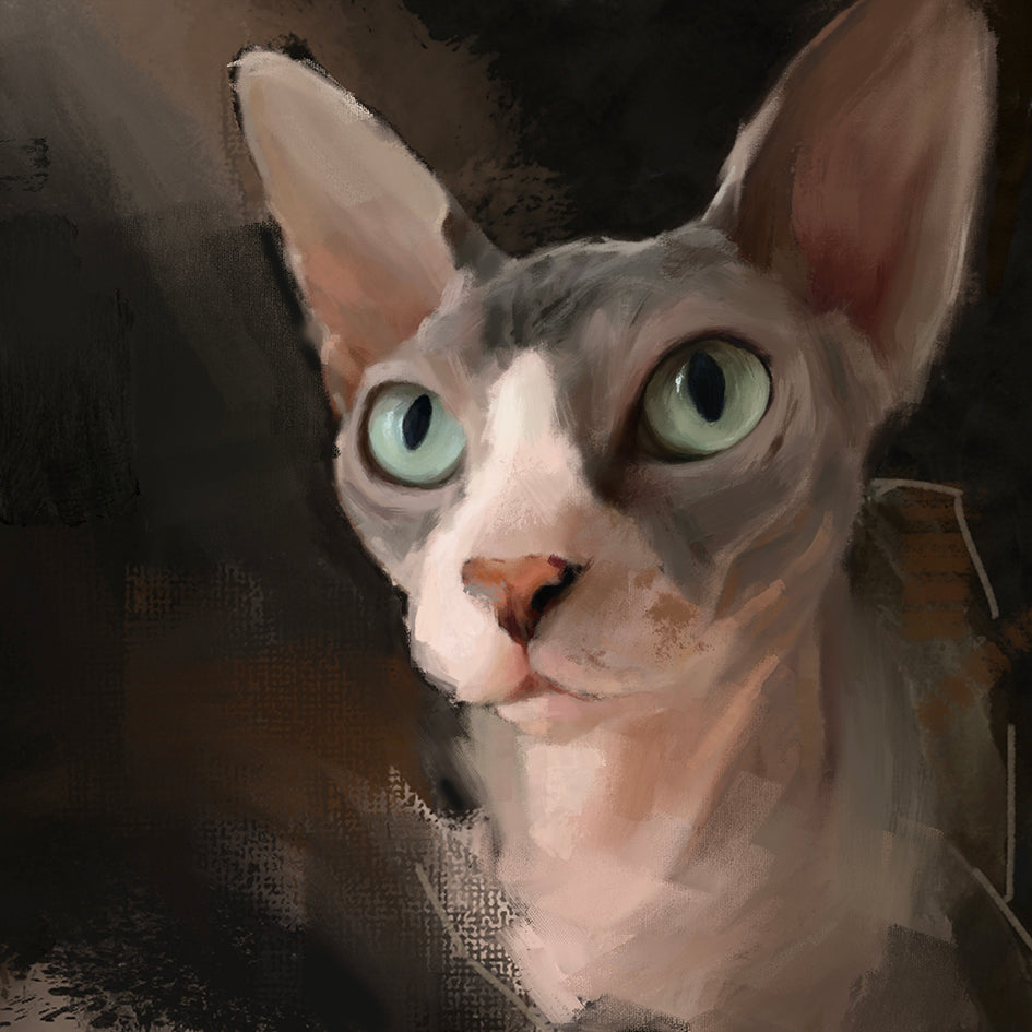 Sphynx Cat Print