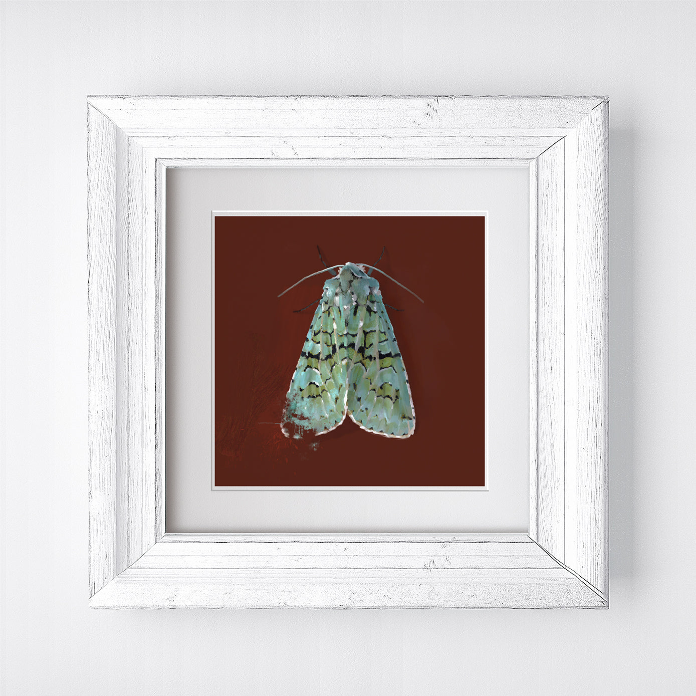 Green Marbled Moth Print
