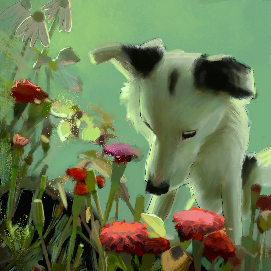 Summer Solstice Greeting Card