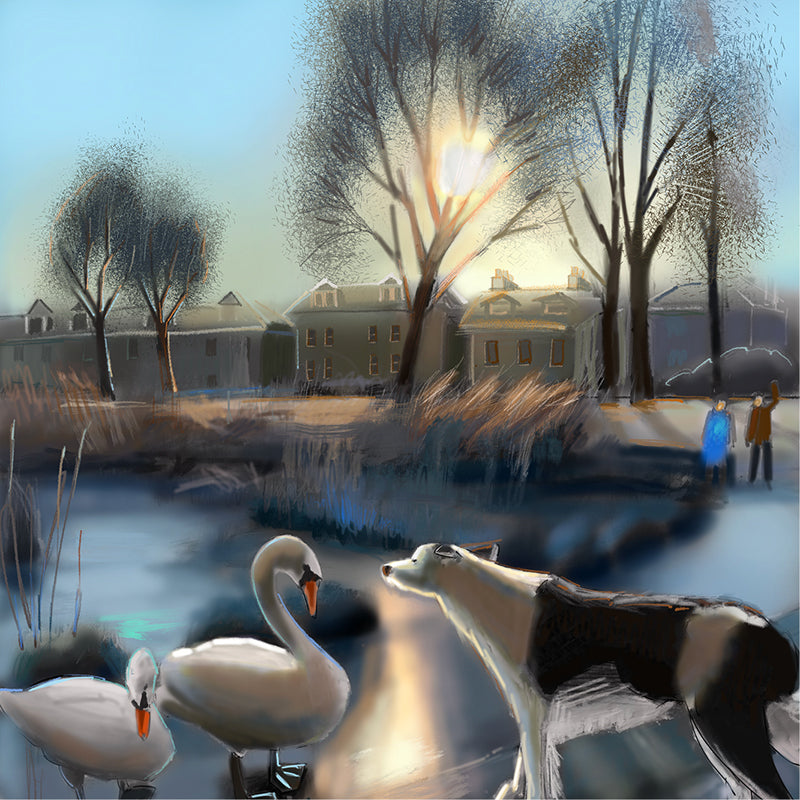 Swan Lake Greeting Card
