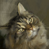 Tabby Longhair Cat Print
