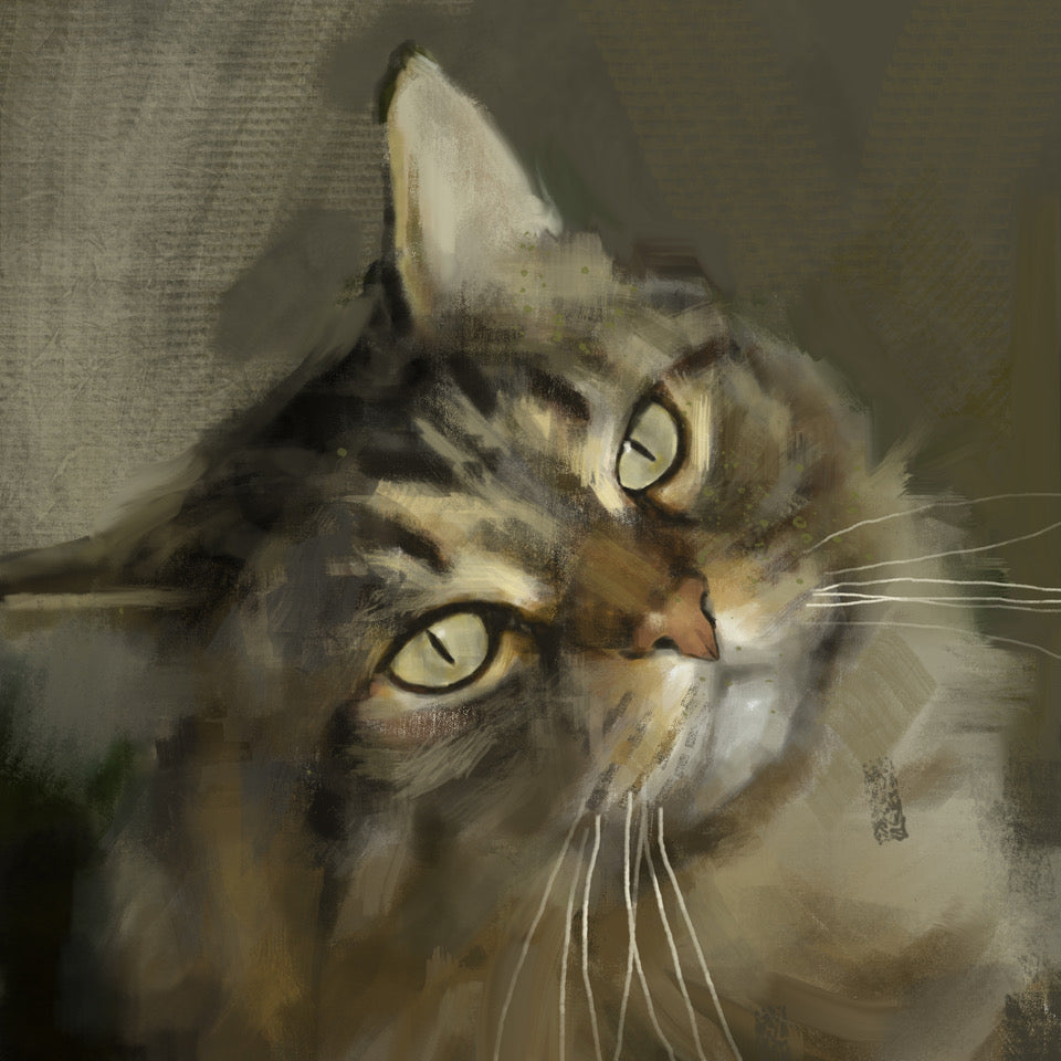 Tabby Cat Brown Greeting Card